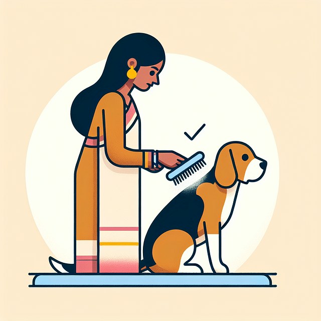 brushing a Beagle's fur