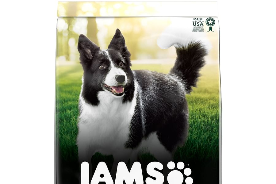 dog food with whole grains