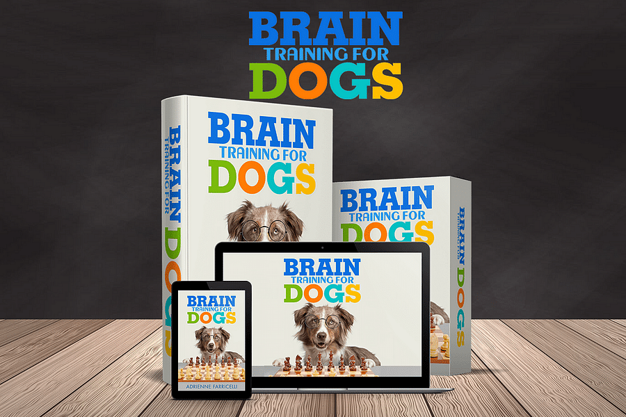 training stubborn dogs