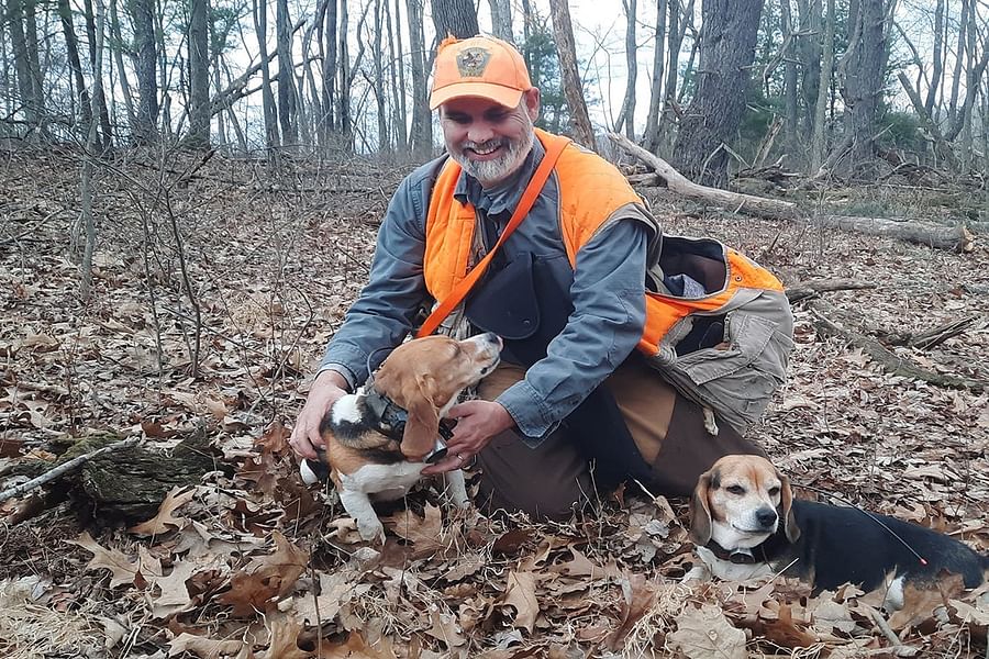 Beagle in underbrush