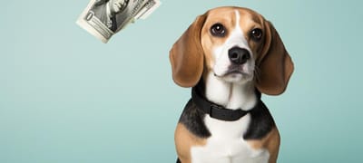 Beagle Pricing