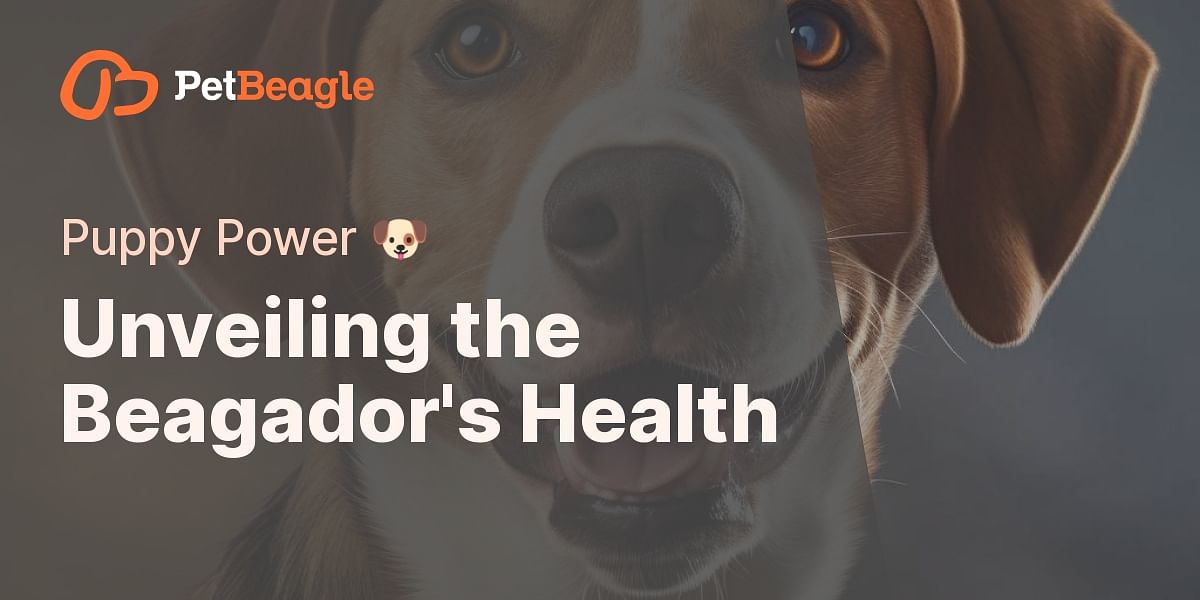 The Beagle Lab Mix A Deep Dive into the Beagador's Health and Lifespan