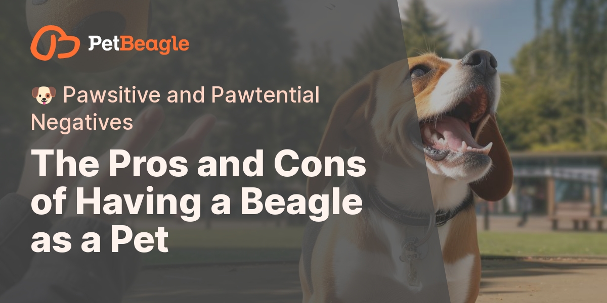 What Are The Advantages And Disadvantages Of Owning A Beagle As A Pet?