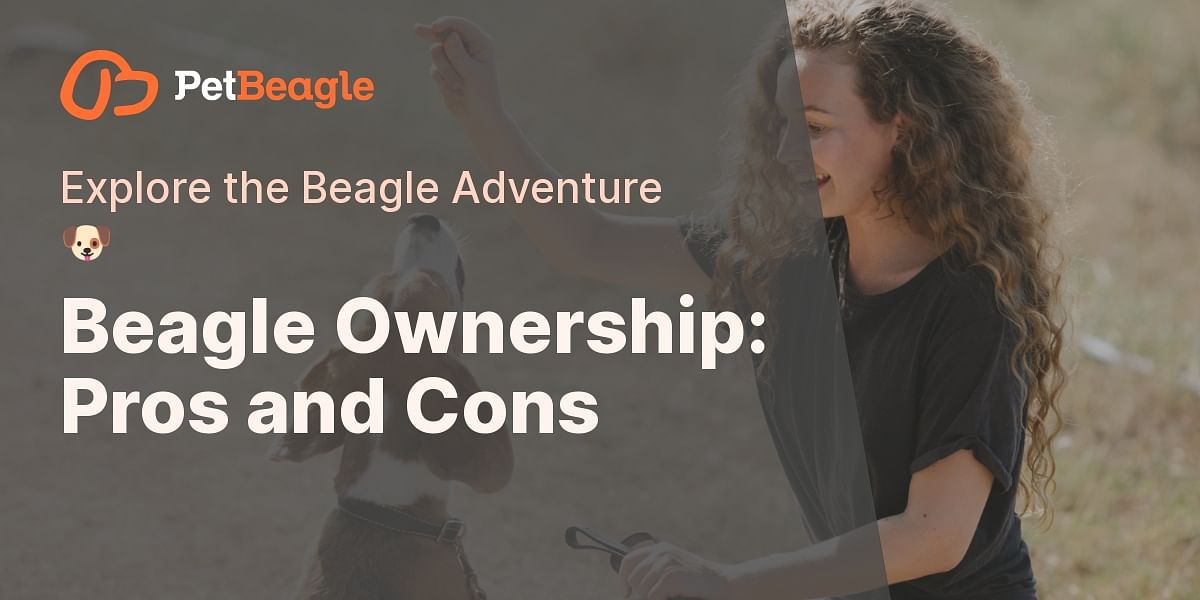 Understanding Beagles Pros and Cons of Owning a Beagle