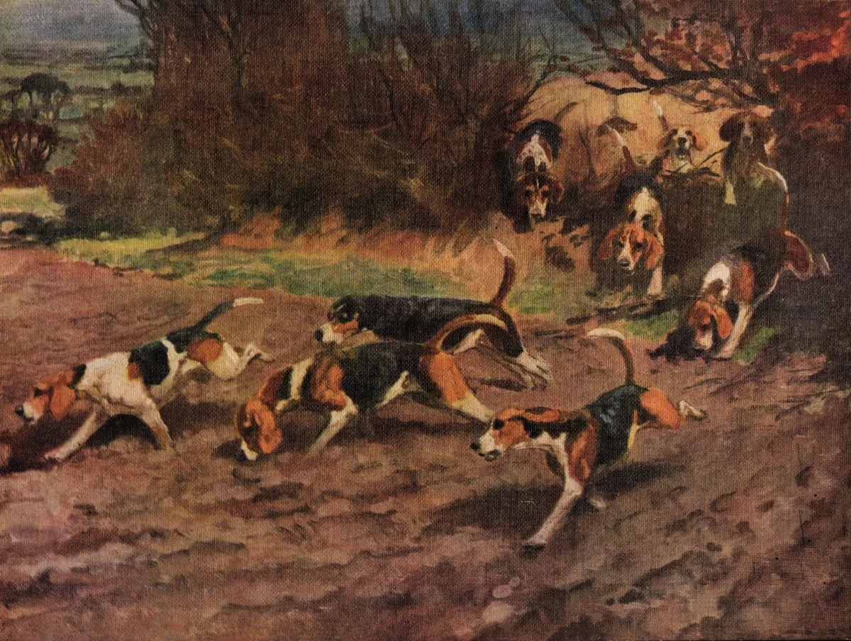 Artwork depicting a Beagle dog during the Elizabethan era
